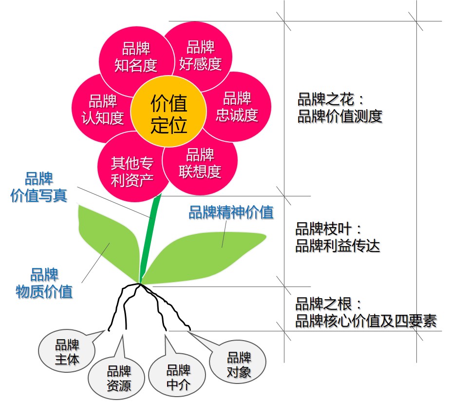 品牌資產(chǎn)研究